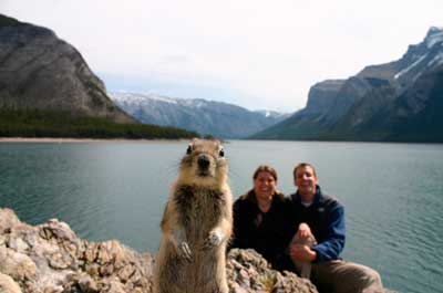 Squirrel