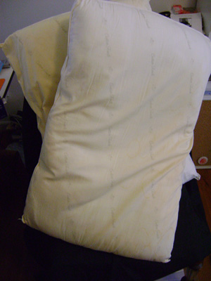 two-old-pillows